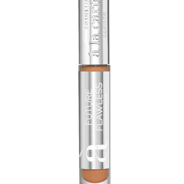 Future Flawless Concealer Cinnamon